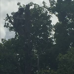 Meet your Posher, Jovani